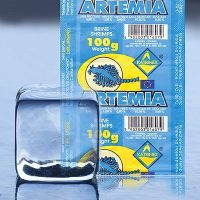 artemia.jpg ARTEMIA