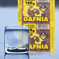 dafnia-rozwielitka.jpg DAFNIA