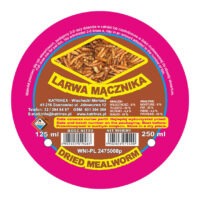 larwa-macznika Mącznik